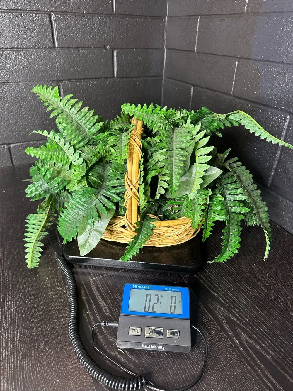 Faux Green Decorative Fern Basket - Home Accents